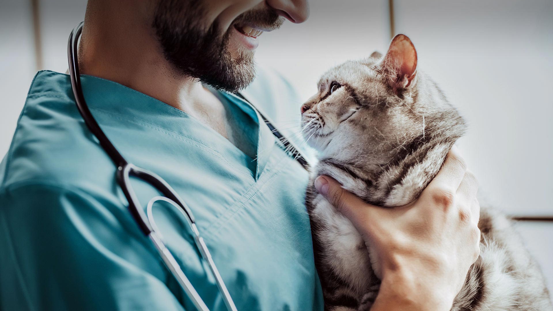 Basınsitesi Veteriner